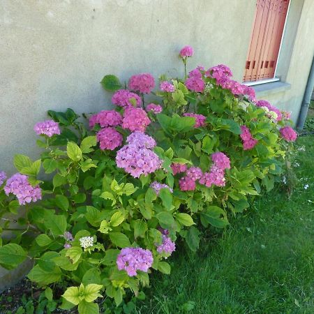 Maison Renovee Avec Cour Privee, Proche De Gannat, 3 Chambres, Animaux Acceptes, Equipements Modernes. - Fr-1-489-37 Poezat Eksteriør bilde